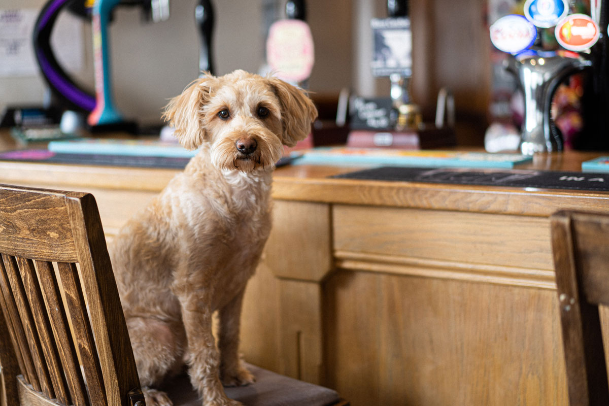 Lounge area at Top Hoose in Amble.